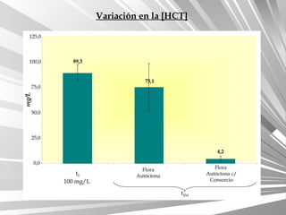 Variación en la [HCT]
Flora
Autóctona c/
Consorcio
4,2
89,3
75,1
0,0
25,0
50,0
75,0
100,0
125,0
t0
100 mg/L
Flora
Autóctona
mg/L
t20d
 