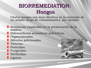 BIORREMEDIATION:BIORREMEDIATION:
HongosHongos
Ciertos hongos son muy efectivos en la remoción deCiertos hongos son muy efectivos en la remoción de
un amplio rango de contaminantes, por ejemplo:un amplio rango de contaminantes, por ejemplo:
Sustancias empleadas en la preservación de laSustancias empleadas en la preservación de la
madera.madera.
Hidrocarburos aromáticos policíclicos.Hidrocarburos aromáticos policíclicos.
Organoclorados.Organoclorados.
Bifenilos policlorados.Bifenilos policlorados.
Tinturas.Tinturas.
Pesticidas.Pesticidas.
Fungicidas.Fungicidas.
Herbicidas.Herbicidas.
Lignina.Lignina.
 