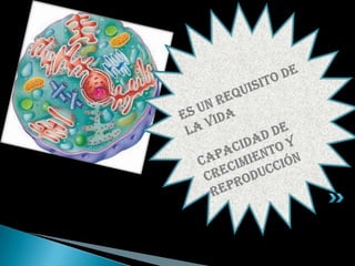 Es un requisito de la vidaCapacidad de crecimiento y reproducción