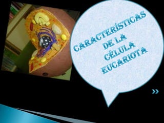 CaracterísticasDe laCélulaeucariota