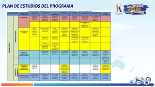 PLAN DE ESTUDIOS DEL PROGRAMA
 