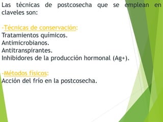 Las técnicas de postcosecha que se emplean en
claveles son:
-Técnicas de conservación:
Tratamientos químicos.
Antimicrobianos.
Antitranspirantes.
Inhibidores de la producción hormonal (Ag+).
-Métodos físicos:
Acción del frío en la postcosecha.
 