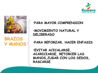 BRAZOS
Y MANOS
•PARA MAYOR COMPRENSION
•MOVIMIENTO NATURAL Y
DELIBERADO
•PARA REFORZAR, HACER ENFASIS
•EVITAR ACICALARSE,
ACARICIARSE, RETORCER LAS
MANOS,JUGAR CON LOS DEDOS,
RASCARSE
 