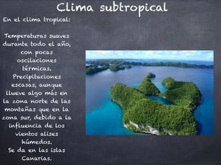 Clima subtropical
En el clima tropical:
Temperaturas suaves
durante todo el año,
con pocas
oscilaciones
térmicas.
Precipitaciones
escasas, aunque
llueve algo más en
la zona norte de las
montañas que en la
zona sur, debido a la
influencia de los
vientos alises
húmedos.
Se da en las islas
Canarias.
 