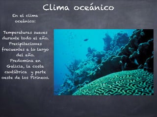 Clima oceánico
En el clima
oceánico:

Temperaturas suaves
durante todo el año.
Precipitaciones
frecuentes a lo largo
del año.
Predomina en
Galicia, la costa
cantábrica y parte
oeste de los Pirineos.


 