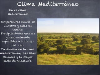 Clima Mediterráneo
En el clima
Mediterráneo:

Temperaturas suaves en
invierno y altas en
verano.
Precipitaciones escasas
y desigualmente
repartidas a lo largo
del año.
Predomina en la zona
mediterránea, las islas
Baleares y la mayor
parte de Andalucía.


 