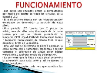 • Los datos son enviados desde la computadora
por medio del puerto de video los circuitos de la
pantalla LCD.
• Este dispositivo cuenta con un microprocesador
encargado de determinar la posición de cada
píxel.
• Una pantalla LCD cuenta con 2 placas de
vidrio, una de ellas esta iluminada de la parte
trasera por una luz intensa procedente de
lámparas CCFL (Cold-Cathode Fluorescent Lamps
/ Lámparas fluorescentes de cátodo frío), lo que
permite el brillo en la pantalla.
• Una vez que se determina el píxel a colorear, la
celda cuenta con 3 sustancias propensas a recibir
corriente y colorearse de algún color básico
(verde, rojo y azul) por medio de polarización.
• La corriente que le llega a cada píxel determina
la saturación para cada color y así se genera la
gama de colores.
•El proceso se repite cada vez que cambian las
imágenes en la pantalla.

 