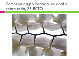 Somos un grupo variado, orixinal e sobre todo, SELECTO 