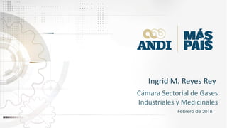 Ingrid M. Reyes Rey
Cámara Sectorial de Gases
Industriales y Medicinales
Febrero de 2018
 