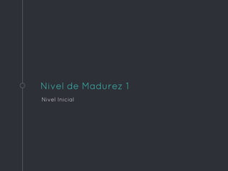 Nivel de Madurez 1
Nivel Inicial
 