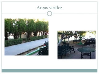 Areas verdez
 