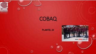 COBAQ
PLANTEL 24
 