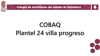 Colegio de bachilleres del estado de Querétaro
COBAQ
Plantel 24 villa progreso
 