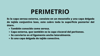 PERIMETRIO
También conocido como serosa.
Capa externa, que también es la capa visceral del peritoneo.
Se convierte en el ligamento ancho lateralmente.
Es una capa delgada de tejido conectivo.
Es la capa serosa externa, consiste en un mesotelio y una capa delgada
de tejido conjuntivo laxo, este cubre toda la superficie posterior del
útero.
 