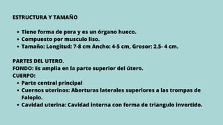 Tiene forma de pera y es un órgano hueco.
Compuesto por musculo liso.
Tamaño: Longitud: 7-8 cm Ancho: 4-5 cm, Grosor: 2.5- 4 cm.
Parte central principal
Cuernos uterinos: Aberturas laterales superiores a las trompas de
Falopio.
Cavidad uterina: Cavidad interna con forma de triangulo invertido.
ESTRUCTURA Y TAMAÑO
PARTES DEL UTERO.
FONDO: Es amplia en la parte superior del útero.
CUERPO:
 