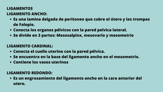 Es una lamina delgada de peritoneo que cubre el útero y las trompas
de Falopio.
Conecta los organos pélvicos con la pared pelvica lateral.
Se divide en 3 partes: Mesosalpinx, mesovario y mesometrio
Conecta el cuello uterino con la pared pélvica.
Se encuentra en la base del ligamento ancho en el mesometrio.
Contiene los vasos uterinos
Es un engrosamiento del ligamento ancho en la cara anterior del
utero.
LIGAMENTOS
LIGAMENTO ANCHO:
LIGAMENTO CARDINAL:
LIGAMENTO REDONDO:
 