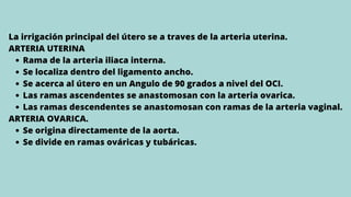 Rama de la arteria iliaca interna.
Se localiza dentro del ligamento ancho.
Se acerca al útero en un Angulo de 90 grados a nivel del OCI.
Las ramas ascendentes se anastomosan con la arteria ovarica.
Las ramas descendentes se anastomosan con ramas de la arteria vaginal.
Se origina directamente de la aorta.
Se divide en ramas ováricas y tubáricas.
La irrigación principal del útero se a traves de la arteria uterina.
ARTERIA UTERINA
ARTERIA OVARICA.
 
