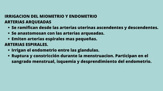 Se ramifican desde las arterias uterinas ascendentes y descendentes.
Se anastomosan con las arterias arqueadas.
Emiten arterias espirales mas pequeñas.
Irrigan el endometrio entre las glandulas.
Ruptura y constricción durante la menstruacion. Participan en el
sangrado menstrual, isquemia y desprendimiento del endometrio.
IRRIGACION DEL MIOMETRIO Y ENDOMETRIO
ARTERIAS ARQUEADAS
ARTERIAS ESPIRALES.
 