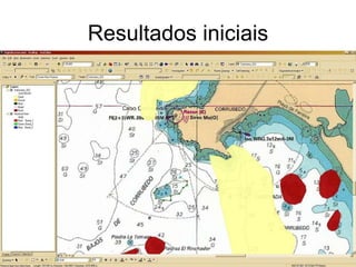 Resultados iniciais 