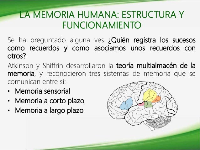 FUNCIONES COGNITIVAS: LA MEMORIA HUMANA