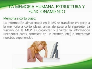 LA MEMORIA HUMANA: ESTRUCTURA Y
FUNCIONAMIENTO
Memoria a corto plazo:
La información almacenada en la MS se transfiere en parte a
la memoria a corto plazo, antes de pasa a la siguiente. La
función de la MCP es organizar y analizar la información
(reconocer caras, contestar en un examen, etc.) e interpretar
nuestras experiencias.
 