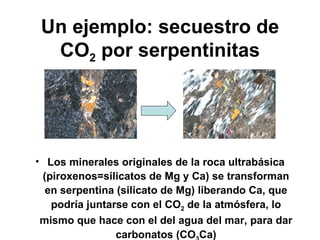 Un ejemplo: secuestro de CO 2  por serpentinitas Los minerales originales de la roca ultrabásica (piroxenos=silicatos de Mg y Ca) se transforman en serpentina (silicato de Mg) liberando Ca, que podría juntarse con el CO 2  de la atmósfera, lo mismo que hace con el del agua del mar, para dar carbonatos (CO 3 Ca) 