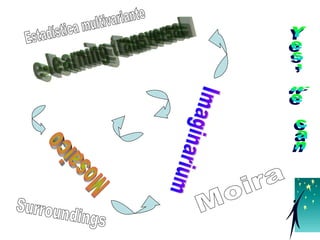 e-learning transversal Mosaico Imaginarium Yes, we can Surroundings Moira Estadística multivariante 