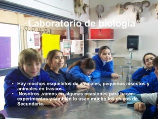 Laboratorio de biología Hay muchos esqueletos de animales, pequeños insectos y animales en frascos.   Nosotros  vamos en algunas ocasiones para hacer experimentos y también lo usan mucho los chicos de Secundaria. 