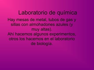 Laboratorio de química Hay mesas de metal, tubos de gas y sillas con almohadones azules (y muy altas). Ahí hacemos algunos experimentos, otros los hacemos en el laboratorio de biología. 
