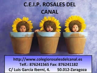 C.E.I.P. ROSALES DEL CANAL http://www.colegiorosalesdelcanal.es Telf.: 876241565 Fax: 876241182 C/ Luis García Iberni, 4.  50.012-Zaragoza 