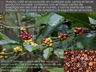    Nuestro café es reconocido en cualquier país, somos el tercer
    productor mundial, contamos con el mayor centro de
    investigación del café en el mundo, y con la planta de café
    liofilizado más grande de América y la segunda en el mundo.




Dato:En Colombia un árbol crece tres veces más
rápido que en Chile y nueve veces más rápido que
en Canadá, lo que nos convierte en una riqueza
forestal potencial.
 