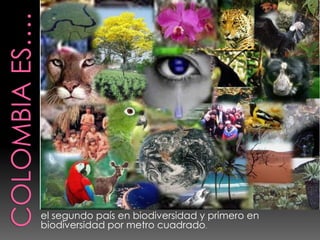 el segundo país en biodiversidad y primero en
biodiversidad por metro cuadrado.
 