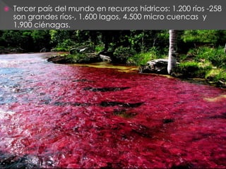    Tercer país del mundo en recursos hídricos: 1.200 ríos -258
    son grandes ríos-, 1.600 lagos, 4.500 micro cuencas y
    1.900 ciénagas.
 