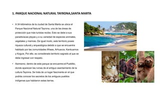 1. PARQUE NACIONAL NATURAL TAYRONA,SANTA MARTA
• A 34 kilómetros de la ciudad de Santa Marta se ubica el
Parque Nacional Natural Tayrona, una de las áreas de
protección que más turistas recibe. Esto se debe a sus
paradisíacas playas y a su variedad de especies animales,
vegetales y marinas. De igual modo, este territorio posee
riqueza cultural y arqueológica debido a que se encuentra
habitado por las comunidades Wiwas, Arhuacos, Kankuamos
y Koguis. Por ello, es considerado territorio sagrado al que se
debe ingresar con respeto.
• Asimismo, dentro de este parque se encuentra el Pueblito,
donde aparecen las ruinas de el antiguo asentamiento de la
cultura Tayrona. Se trata de un lugar fascinante en el que
podrás conocer los secretos de los antiguos pueblos
indígenas que habitaron estas tierras.
 
