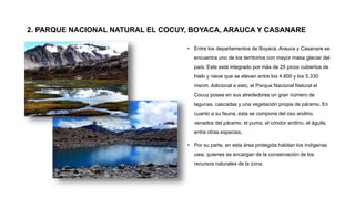 2. PARQUE NACIONAL NATURAL EL COCUY, BOYACA, ARAUCA Y CASANARE
• Entre los departamentos de Boyacá, Arauca y Casanare se
encuentra uno de los territorios con mayor masa glaciar del
país. Este está integrado por más de 25 picos cubiertos de
hielo y nieve que se elevan entre los 4.800 y los 5.330
msnm. Adicional a esto, el Parque Nacional Natural el
Cocuy posee en sus alrededores un gran número de
lagunas, cascadas y una vegetación propia de páramo. En
cuanto a su fauna, esta se compone del oso andino,
venados del páramo, el puma, el cóndor andino, el águila,
entre otras especies.
• Por su parte, en esta área protegida habitan los indígenas
uwa, quienes se encargan de la conservación de los
recursos naturales de la zona.
 