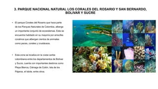 3. PARQUE NACIONAL NATURAL LOS CORALES DEL ROSARIO Y SAN BERNARDO,
BOLIVAR Y SUCRE
• El parque Corales del Rosario que hace parte
de los Parques Naturales de Colombia, alberga
un importante conjunto de ecosistemas. Este se
encuentra habitado en su mayoría por arrecifes
coralinos que albergan cientos de animales
como peces, corales y crustáceos.
• Esta zona se localiza en la costa caribe
colombiana entre los departamentos de Bolívar
y Sucre, cuenta con importantes destinos como
Playa Blanca, Ciénaga de Colón, Isla de los
Pájaros, el Islote, entre otros.
 