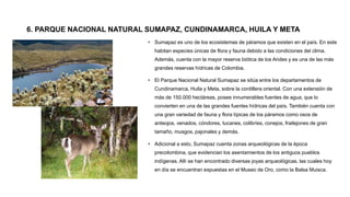 6. PARQUE NACIONAL NATURAL SUMAPAZ, CUNDINAMARCA, HUILA Y META
• Sumapaz es uno de los ecosistemas de páramos que existen en el país. En este
habitan especies únicas de flora y fauna debido a las condiciones del clima.
Además, cuenta con la mayor reserva biótica de los Andes y es una de las más
grandes reservas hídricas de Colombia.
• El Parque Nacional Natural Sumapaz se sitúa entre los departamentos de
Cundinamarca, Huila y Meta, sobre la cordillera oriental. Con una extensión de
más de 150.000 hectáreas, posee innumerables fuentes de agua, que lo
convierten en una de las grandes fuentes hídricas del país. También cuenta con
una gran variedad de fauna y flora típicas de los páramos como osos de
anteojos, venados, cóndores, tucanes, colibríes, conejos, frailejones de gran
tamaño, musgos, pajonales y demás.
• Adicional a esto, Sumapaz cuenta zonas arqueológicas de la época
precolombina, que evidencian los asentamientos de los antiguos pueblos
indígenas. Allí se han encontrado diversas joyas arqueológicas, las cuales hoy
en día se encuentran expuestas en el Museo de Oro, como la Balsa Muisca.
 