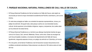 7. PARQUE NACIONAL NATURAL FARALLONES DE CALI, VALLE DE CAUCA.
• El Parque Nacional Farallones de Cali se localiza en el Valle del Cauca, esta región es
reconocida por tener la mayor diversidad ecosistémita del Pacífico colombiano y de la zona
Andina.
• En esta área protegida se hallan una variedad de especies representativas, únicas y en
peligro de extinción. De igual modo, este parque cuenta con una diversidad racial y
cultural, donde aparecen comunidades indígenas, negras y campesinas, las cuales velan
por la protección de estas tierras.
• El Parque Nacional Farallones es un territorio que alberga importantes fuentes de agua
como el río Cauca, Cali, Jamindí, Meléndez, Pance, entre otros. Estas se encargan de
surtir las principales ciudades y municipios del departamento del Valle del Cauca.
Igualmente, resguarda especies únicas y en peligro de extinción en Colombia y el mundo.
• Por otra parte, se les llaman Farallones a las formaciones rocosas más jóvenes de la
cordillera occidental colombiana. Estas alcanzan una altura de 100 metros sobre el nivel
del mar.
 