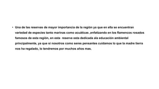 • Una de las reservas de mayor importancia de la región ya que en ella se encuentran
variedad de especies tanto marinas como acuáticas ,enfatizando en los flamencos rosados
famosos de esta región, en esta reserva esta dedicada ala educación ambiental
principalmente, ya que si nosotros como seres pensantes cuidamos lo que la madre tierra
nos ha regalado, lo tendremos por muchos años mas.
 
