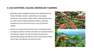 9. EJE CAFETERO, CALDAS ,RISARALDA Y QUINDIO.
• Maravillosa región de cafetales situada entre los departamentos de
Caldas, Risaralda y Quindío, característica por sus paisajes
montañosos, picos nevados, verdes colinas y valles agrícolas, entre
los cuales irrumpen mágicos poblados coloniales y haciendas
campestres que viven en torno al turismo rural y la producción
cafetera.
• Salento es la ciudad más turística de la zona, conservando parte de
sus antiguas viviendas coloniales construidas con la tradicional técnica
del bahareque. Salento, es también la puerta de entrada a los
espectaculares paisajes del Valle de Cocora, famosa reserva natural,
que da hogar a las palmeras más altas del mundo.
 