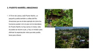 3. PUERTO NARIÑO, AMAZONAS
• A 75 km de Leticia, está Puerto Nariño, un
pequeño pueblo también a orillas del Río
Amazonas que es el claro ejemplo de cómo los
humanos pueden vivir en paz con la naturaleza.
En Puerto Nariño no hay carros ni motos, todo
el pueblo se recorre a pie, y hay un mirador para
disfrutar la espectacular vista que este pueblo
tiene para ofrecer.
 