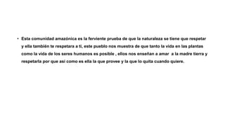 • Esta comunidad amazónica es la ferviente prueba de que la naturaleza se tiene que respetar
y ella también te respetara a ti, este pueblo nos muestra de que tanto la vida en las plantas
como la vida de los seres humanos es posible , ellos nos enseñan a amar a la madre tierra y
respetarla por que así como es ella la que provee y la que lo quita cuando quiere.
 