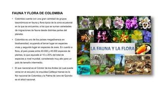 FAUNA Y FLORA DE COLOMBIA
• Colombia cuenta con una gran cantidad de grupos
taxonómicos en fauna y flora típica de la zona ecuatorial
en la que se encuentra, a los que se suman variedades
de migraciones de fauna desde distintas partes del
planeta.
• Colombia es uno de los países megadiversos en
biodiversidad, ocupando el tercer lugar en especies
vivas y segundo lugar en especies de aves. En cuanto a
flora, el país posee entre 40.000 y 45.000 especies de
plantas, lo que equivale al 10 o 20% del total de
especies a nivel mundial, considerado muy alto para un
país de tamaño intermedio.
• El ave nacional es el Cóndor de los Andes (el cual puede
verse en el escudo); la orquídea Cattleya trianae es la
flor nacional de Colombia y la Palma de cera de Quindio
es el árbol nacional.
 