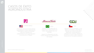 El fondo de inversiones estadounidense
especializado en el sector agroindustrial
y de impacto, invirtió en la empresa
Cacao de Colombia en el
establecimiento de una segunda planta
de producción en Popayán.
CHILE
Alianza entre CCU y Postobón, con el
objetivo de dinamizar y desarrollar el
mercado de cerveza a través de la
elaboración, comercialización y
distribución de cervezas y bebidas no
alcohólicas en base a malta mediante la
construcción de una planta productora.
BRASIL
Empresa brasilera dedicada a la
producción y comercialización de
carne, cuero, ganado vivo y sus
derivados.
Adquirió los refrigeradores de Red
Cárnica ubicados en el departamento
de Córdoba.
ESTADOS UNIDOS
Fuente: ProColombia basada en prensa nacional
CASOS DE ÉXITO
AGROINDUSTRIA
 