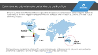 Colombia, estado miembro de la Alianza del Pacífico
PROCOLOMBIA.CO
En la XII Cumbre de la Alianza del Pacífico (octubre 2017) se anunció la creación de la categoría de Estado
Asociado y se iniciaron negociaciones encaminadas a otorgar esta condición a Australia, Canadá, Nueva
Zelanda y Singapur
Esta figura busca fortalecer la integración comercial, regional y el libre comercio, así como aprovechar las
plataformas regionales y promover negociaciones de acuerdos comerciales.
NUEVA
ZELANDA
CANADÁ
MÉXICO
COLOMBIA
CHILE
PERÚ SINGAPUR
AUSTRALIA
 