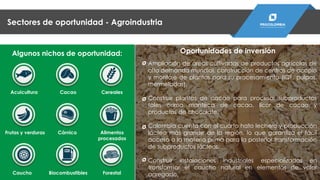 Ampliación de áreas cultivadas de productos agrícolas de
alta demanda mundial, construcción de centros de acopio
y montaje de plantas para su procesamiento (IQF, pulpas,
mermeladas).
Construir plantas de cacao para procesar subproductos
tales como manteca de cacao, licor de cacao y
productos de chocolate.
Colombia cuenta con el cuarto hato lechero y producción
láctea más grande de la región, lo que garantiza el fácil
acceso a la materia prima para la posterior transformación
de subproductos lácteos.
Construir instalaciones industriales especializadas en
transformar el caucho natural en elementos de valor
agregado.
Oportunidades de inversión
Caucho Biocombustibles Forestal
Algunos nichos de oportunidad:
Acuicultura Cacao Cereales
Frutas y verduras Cárnico Alimentos
procesados
Sectores de oportunidad - Agroindustria
 