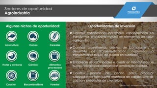 Construir instalaciones industriales especializadas en
transformar el caucho natural en elementos de valor
agregado.
Construir biorrefinerías, plantas de biomasa y / o
desarrollo de transesterificación, destinadas a
transformar el aceite de palma en biodiesel.
Establecer alianzas locales e invertir en laboratorios de
biotecnología para desarrollar semillas de calidad.
Construir plantas de cacao para procesar
subproductos tales como manteca de cacao, licor de
cacao y productos de chocolate.
Oportunidades de inversión
Fuente: FAO, Ministerio de Agricultuira.Caucho Biocombustibles Forestal
Algunos nichos de oportunidad:
Acuicultura Cacao Cereales
Frutas y verduras Cárnico Alimentos
procesados
Sectores de oportunidad
Agroindustria
 