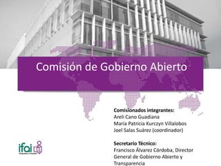 Comisión de Gobierno Abierto
Comisionados integrantes:
Areli Cano Guadiana
María Patricia Kurczyn Villalobos
Joel Salas Suárez (coordinador)
Secretario Técnico:
Francisco Álvarez Córdoba, Director
General de Gobierno Abierto y
Transparencia
 