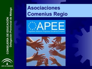 Asociaciones  Comenius Regio CONSEJERÍA DE EDUCACIÓN  Delegación Provincial de Málaga 