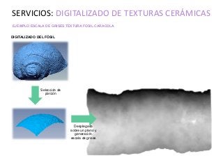 EJEMPLO ESCALA DE GRISES TEXTURA FOSIL CARACOLA
SERVICIOS: DIGITALIZADO DE TEXTURAS CERÁMICAS
DIGITALIZADO DEL FÓSIL
Selección de
porción
Desplegado
sobre un plano y
generación
escala de grises
 